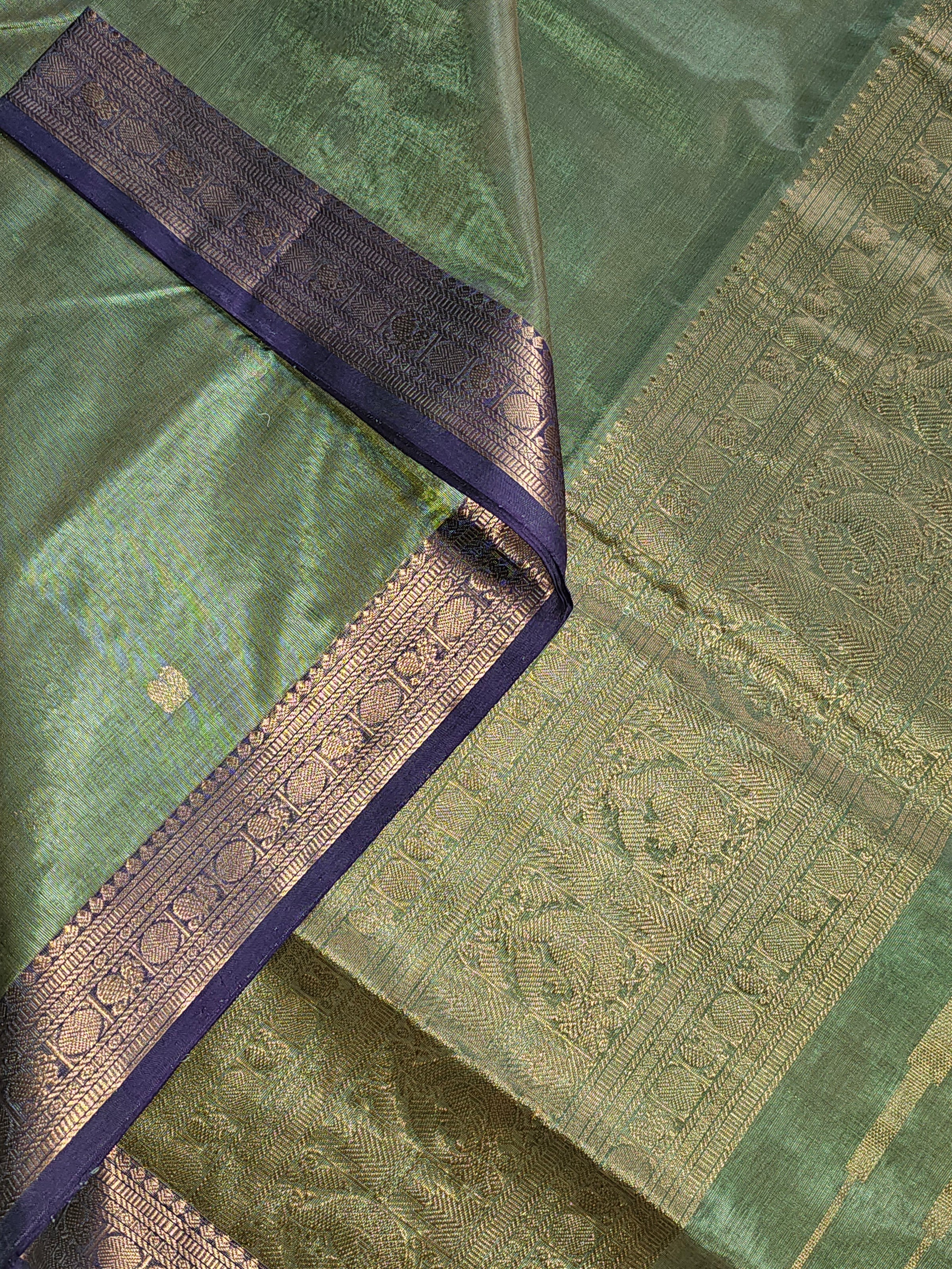 Harini – Pastel Green Handloom Kanchi Silk Cotton Saree with Blue Zari Border