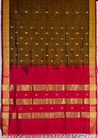 Brown Handloom Venkatagiri Silk Cotton Saree