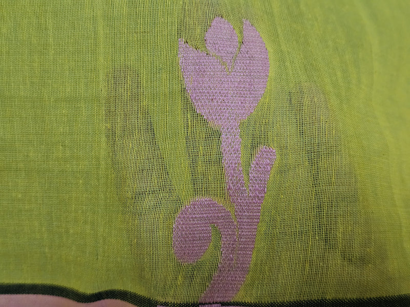 Motif on Padmika – Light Green Handloom Khadi Saree with Pink Matka Silk Pallu