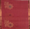 Pink Handloom Kanchi Cotton Saree