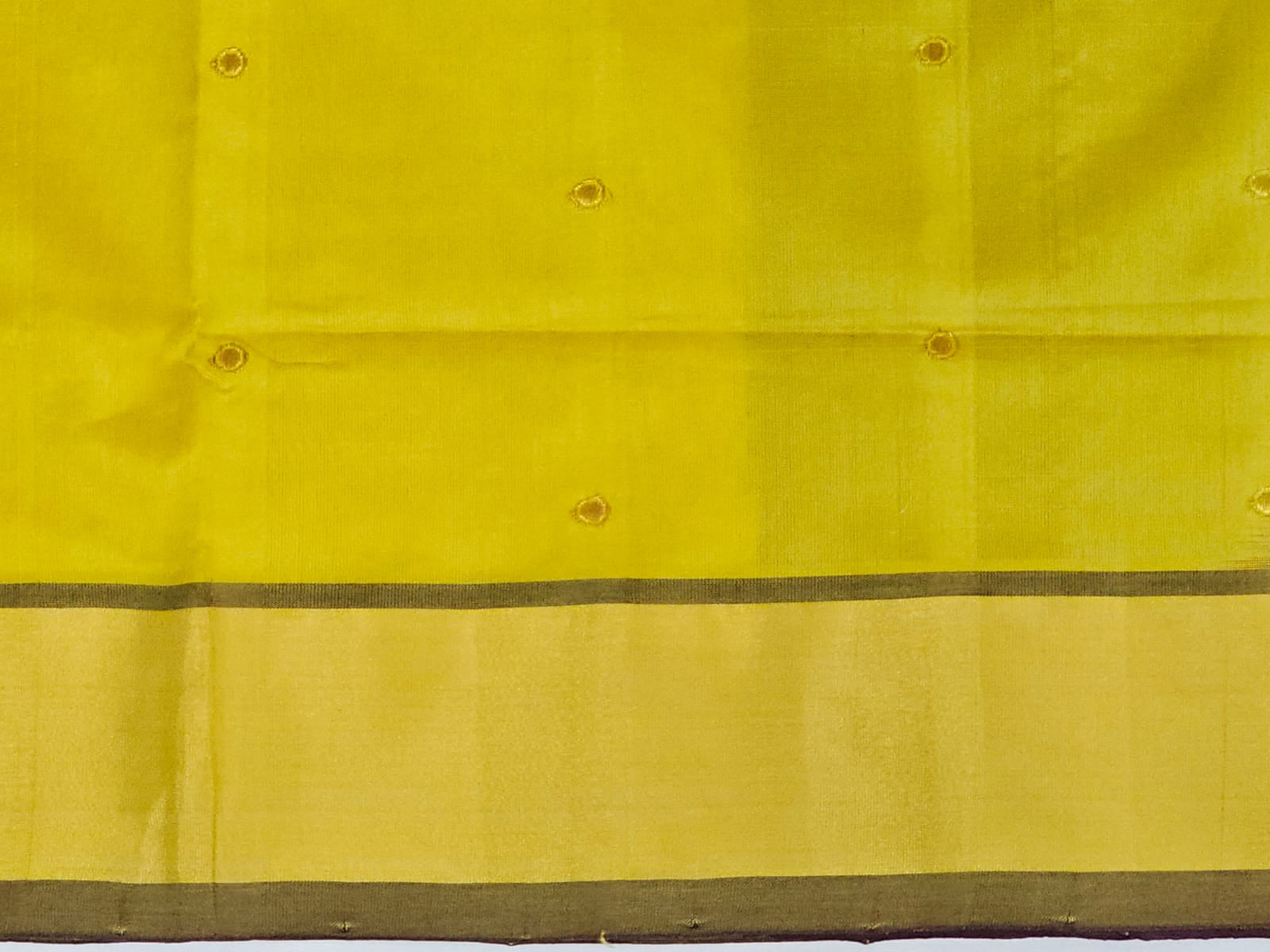 close up of Yellow Handloom Venkatagiri Silk Cotton Saree